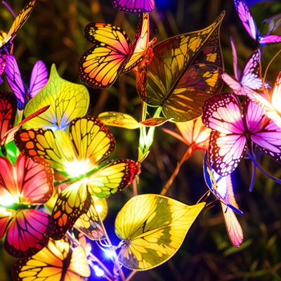 Butterfly Glow Solar Light 5