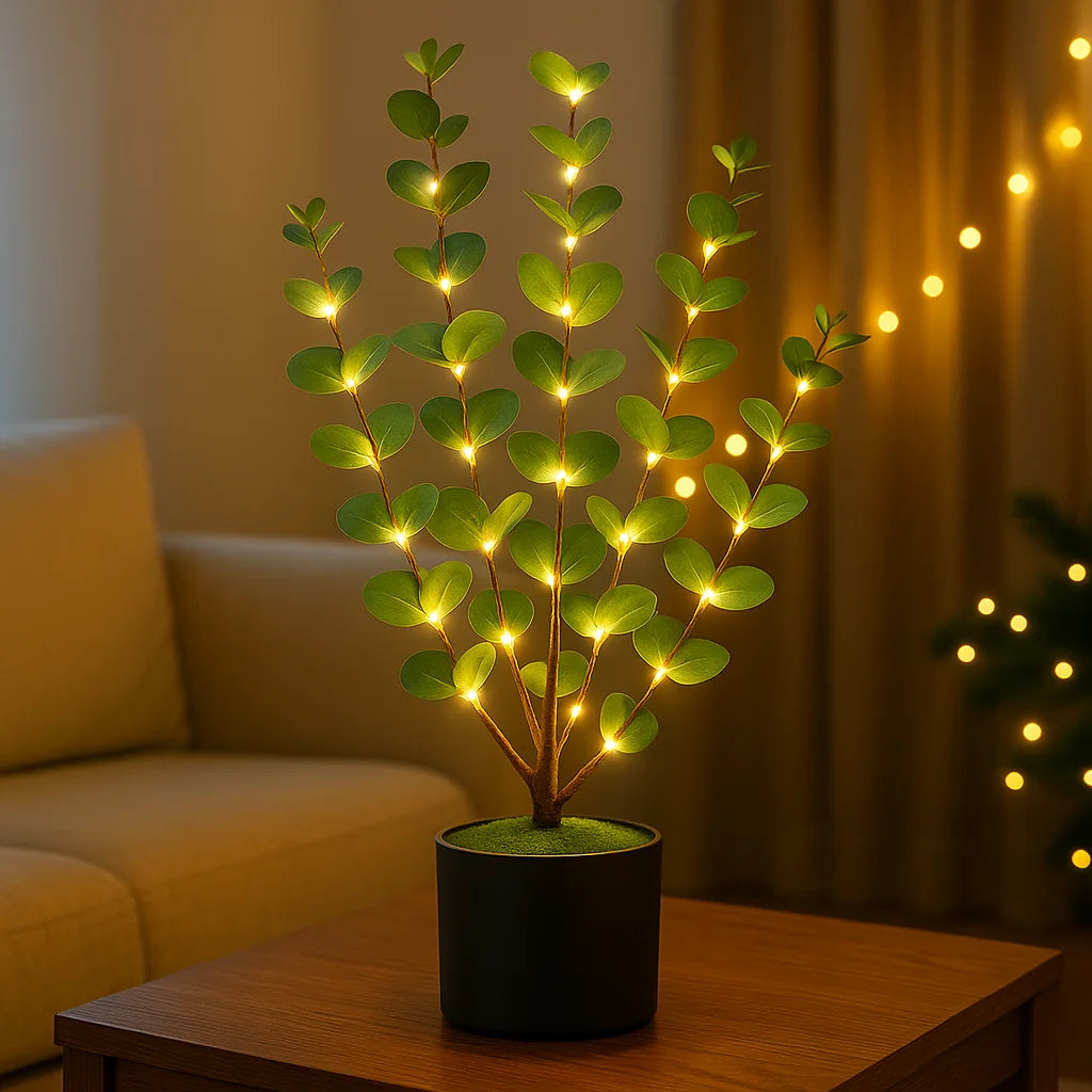 Eucalyptus Glow Tree 1