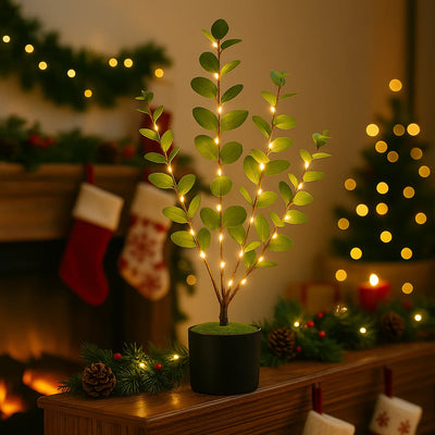 Eucalyptus Glow Tree 2