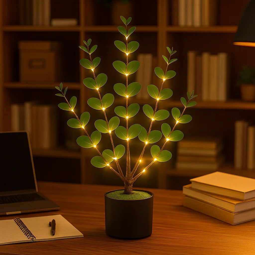 Eucalyptus Glow Tree 4