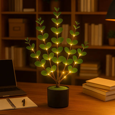 Eucalyptus Glow Tree 4