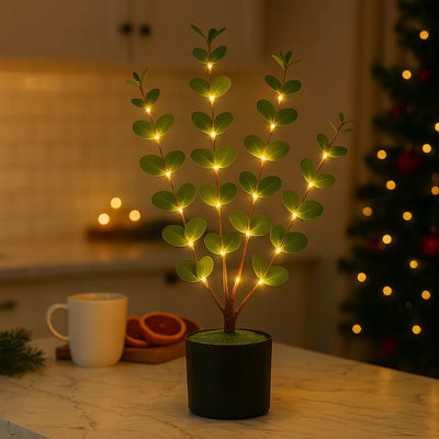 Eucalyptus Glow Tree 5
