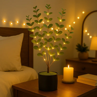 Eucalyptus Glow Tree 6