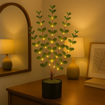 Eucalyptus Glow Tree 7