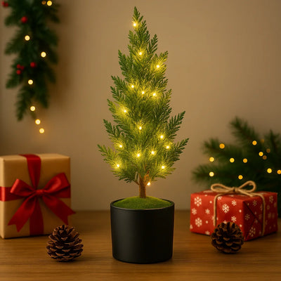 Evergreen Glow Tree 1