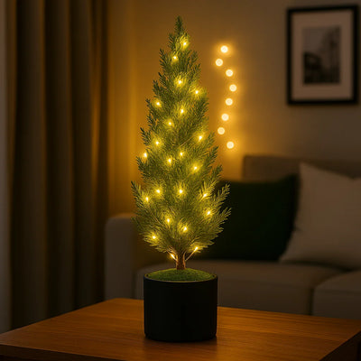 Evergreen Glow Tree 3