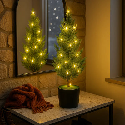 Evergreen Glow Tree 4