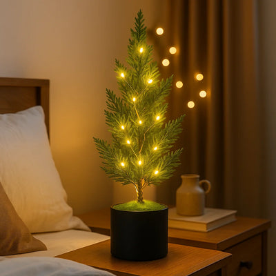 Evergreen Glow Tree 6