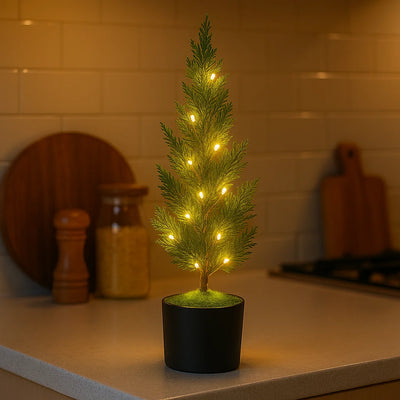 Evergreen Glow Tree 7