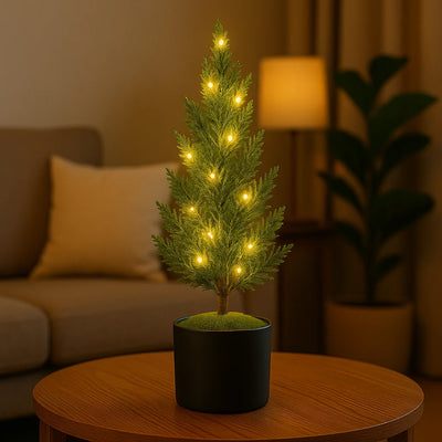 Evergreen Glow Tree 8