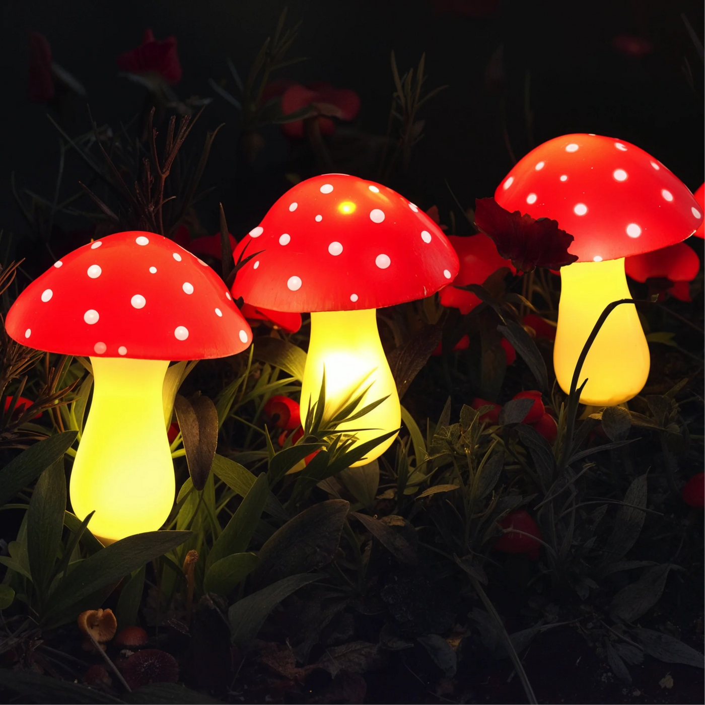 Garden Mushroom Lights 7