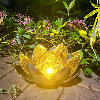 Lotus Radiance Lights 6