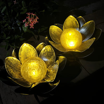 Lotus Radiance Lights 7