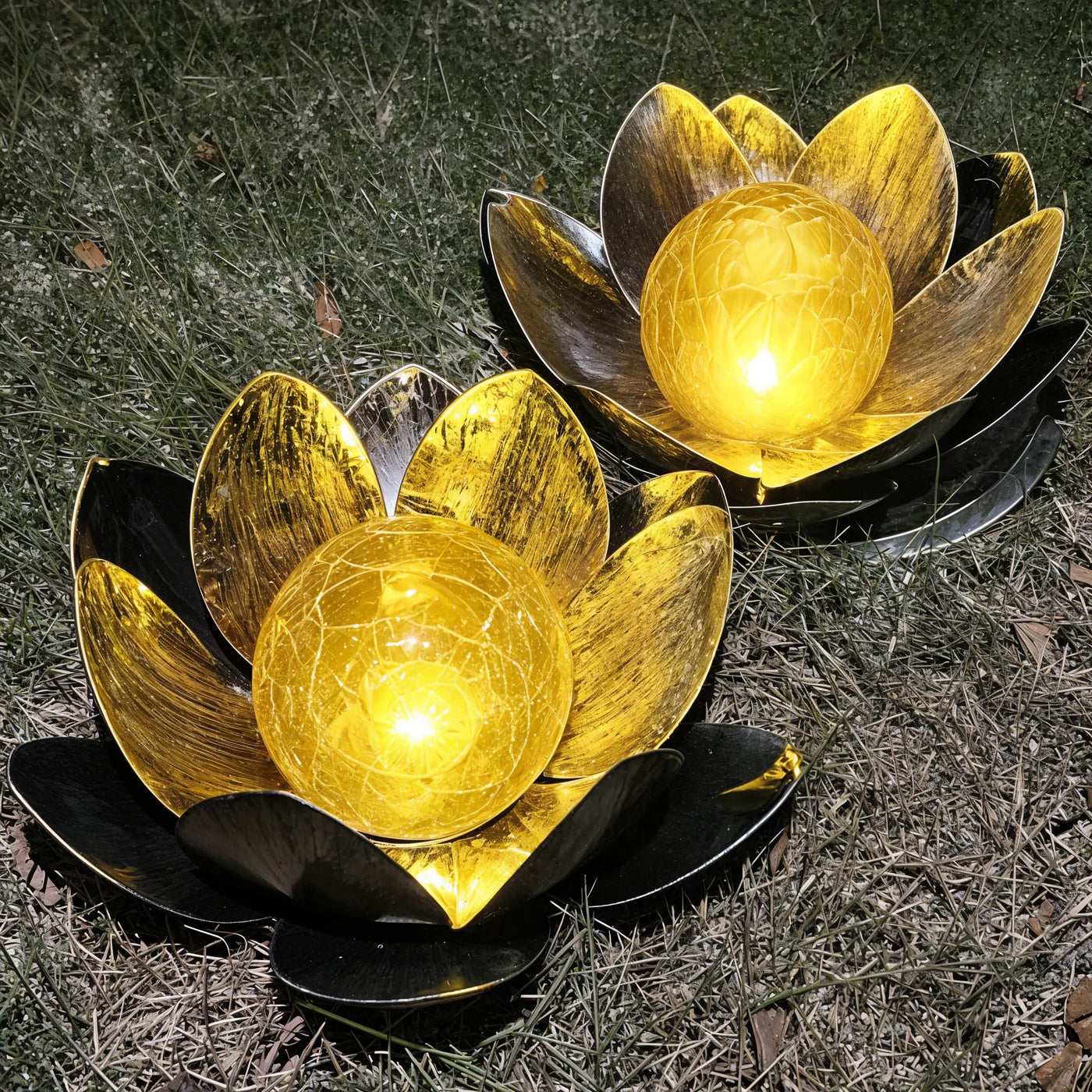 Lotus Radiance Lights 8