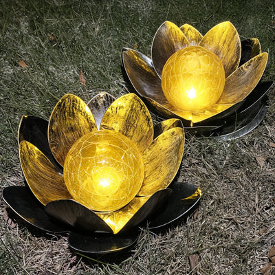 Lotus Radiance Lights 8