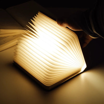 Luminobook 6
