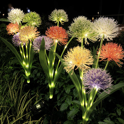 Luminous Bloom Lights 1