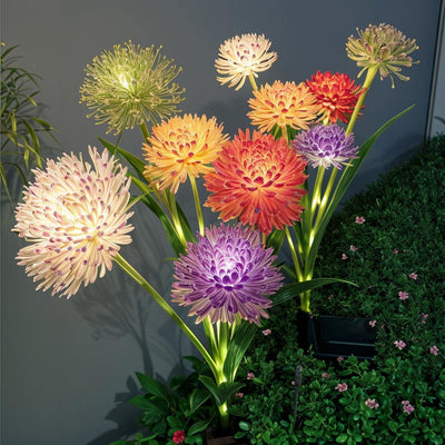 Luminous Bloom Lights 2