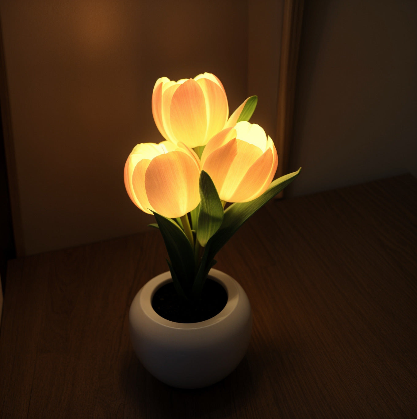 Luminous Tulip Light 3