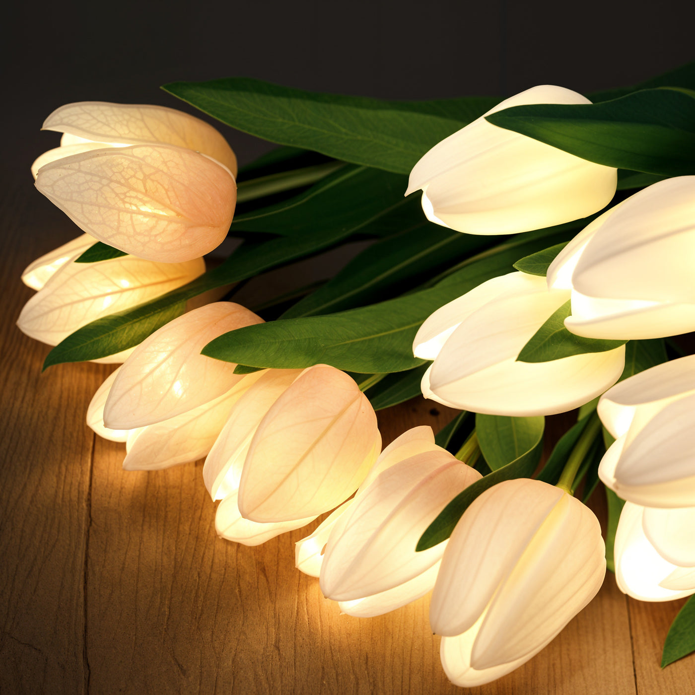 Luminous Tulip Light 5