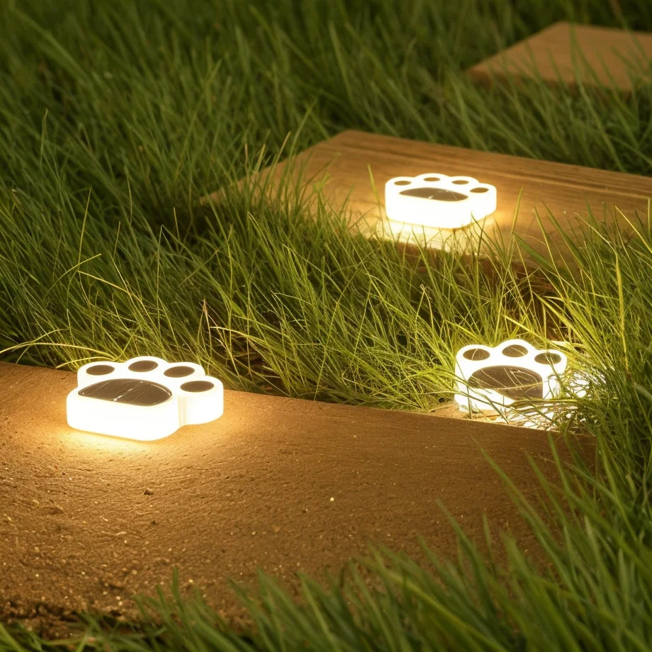 Paw Path Lights 2