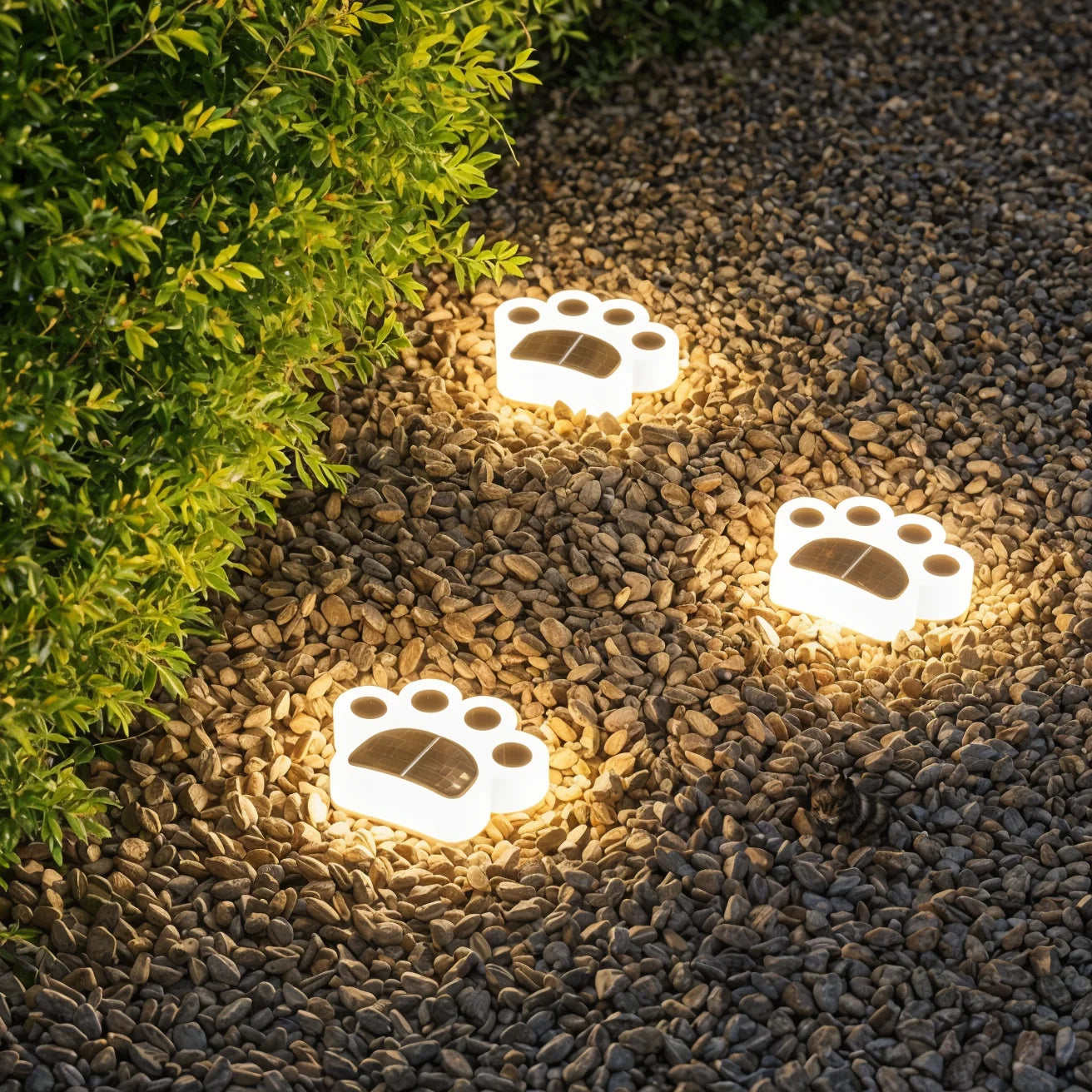 Paw Path Lights 3