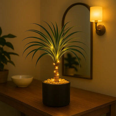 Ponytail Palm Lamp 4