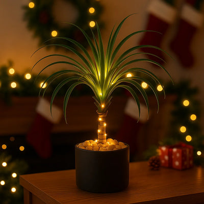 Ponytail Palm Lamp 5